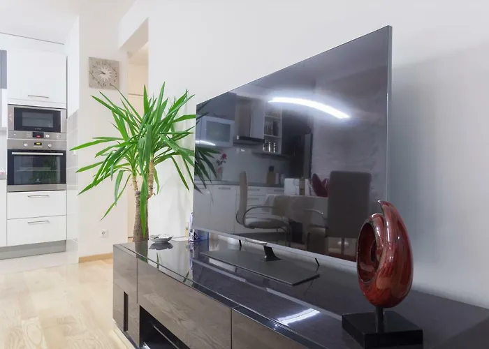 Luxury Apartment